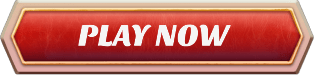 realsbet playnow button