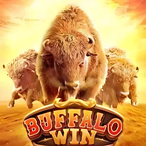 buffalo win